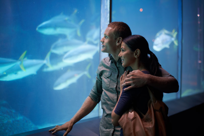 Aquarium de Saint-Malo